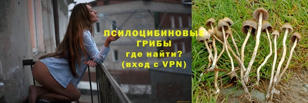 кокс Аркадак