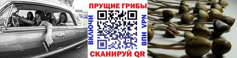 как найти закладки  Асбест  ОМГ ОМГ рабочий сайт  Галлюциногенные грибы ЛСД 